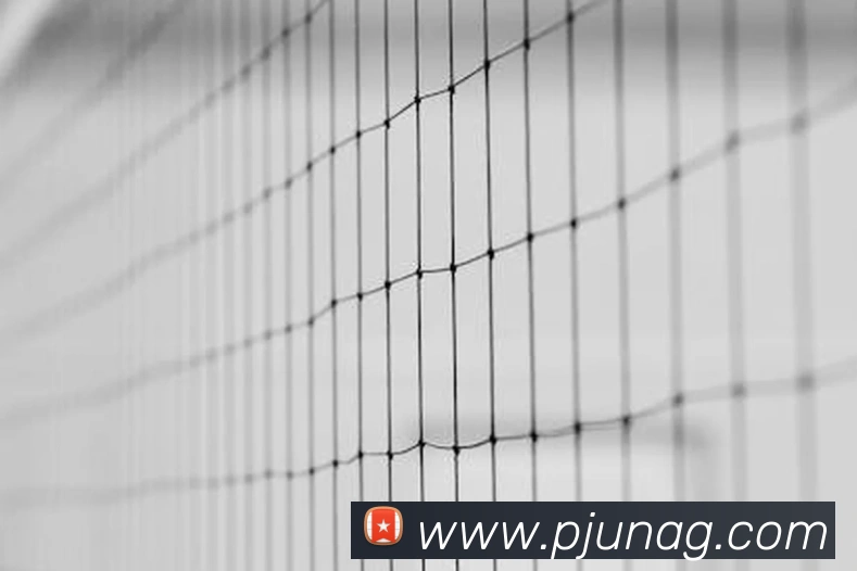 App Interface Preview