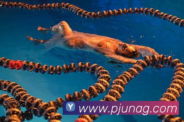 ag官网APP 封面图